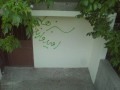 Jonbesh Sabz Iran - Iran Green Movmnet