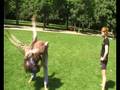 videos de Baz Rutten in Vondelpark