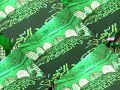 ZIARAT-E- BAGHDAD NOV 2009 CLIP 3.MPG