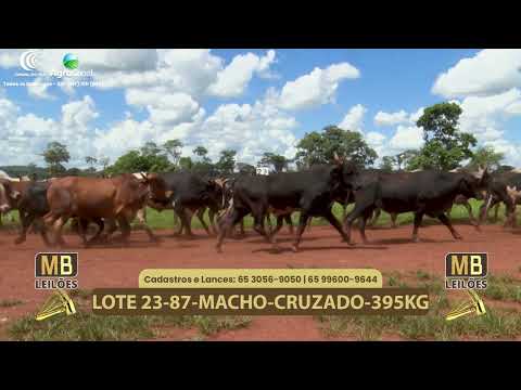 541� LEIL�O VIRTUAL MB LEIL�ES