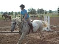 A Successful Horse Jump At Nepean Equestrian Park