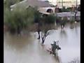 село Гачиани в результате наводнения