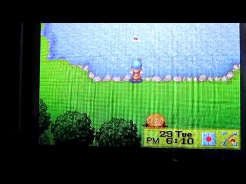 how to equip tools in harvest moon