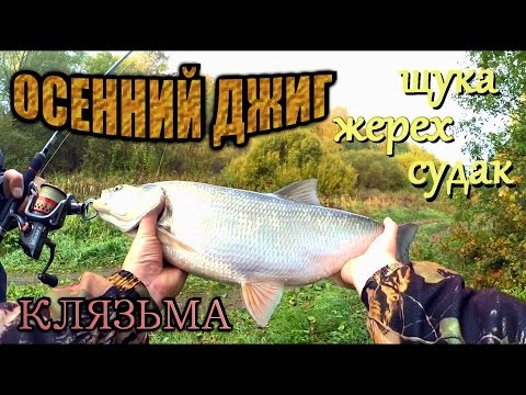ловля жереха судака щуки снасти ловля жереха судака щуки снасти