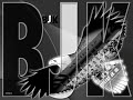 Besiktas 2009 - Sen benim her Gece Efkarim