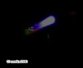 Orb Mysteries Part 1