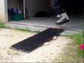 Cuzo shuffle session Cuzo shuffle session