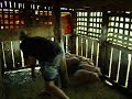 Ronaldo pegando o porquinho Ronaldo pegando o porquinho