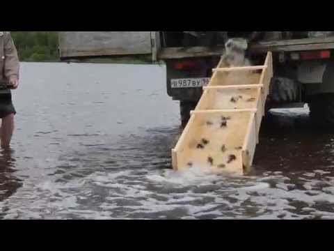 YouTube &ETH;&cent;&Ntilde;&ETH;&micro;&ETH;&sup1;&ETH;&raquo;&ETH;&micro;&Ntilde;