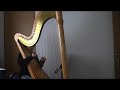 playing the Harp ?10 year old?~Hasselmans~ playing the Harp ?10 year old?~Hasselmans~