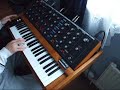 Moog Minimoog Solo