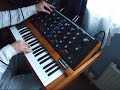 Moog Minimoog Solo