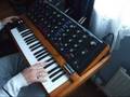 Moog Minimoog Solo