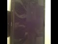 ADIDAS vs TV SAMSUNG(APP. VINE)bei appstore