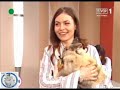 Stowarzyszenie Pomocy Kr�likom w \"Kawa czy Herbata?\"