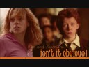 Hermione Pictures of You