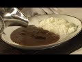 越前いかカレー