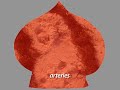 Carolyoga Breathing: Cleansing
