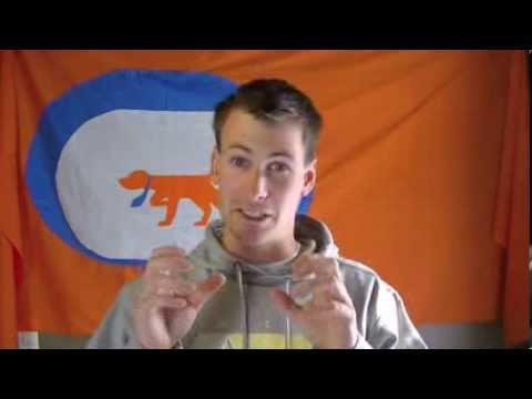 how to decide to get another dog