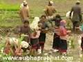 Lost Sounds - Newari Video Song (www.subhaprabhat.com)