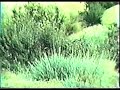 Run, Joe, Run - Season One Run, Joe, Run - Season One