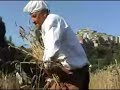 Palio del grano 2006