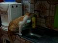 videos de MOV00245.wmv
