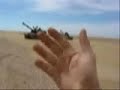 roll over training program