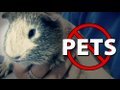 Pets in Peril (politicians gone wild) HR669