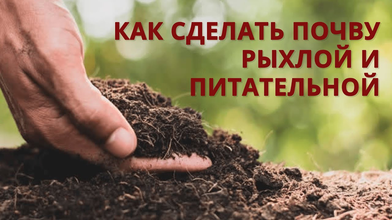 Каким способом увеличить плодородие грунта, чтобы земля получилась обильнее чем чернозём?