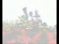 videos de F.I.C.K.E.N.