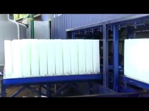 how to plant ice plant cuttings