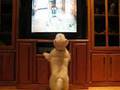 Dog goes crazy watching animal planet