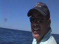 Gisel's 1st striped marlin on the fly!
