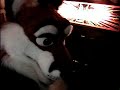 crygus plays an old arcade favorite, gyruss. my friend is giving me advice :) video shot by dimitri.