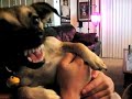 Gremlin Doggy
