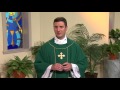 The Sunday Mass - 15th Sunday in Ordinary Time (July 16, 2017)
