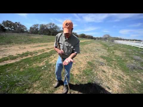 893 acres Johnson City, TX