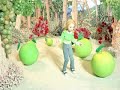 Princess Garden