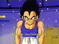 Vegeta Kicked My Dog v.2