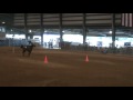 videos de 4H District Horse Show