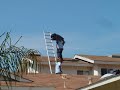 Termites be Gone