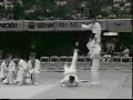 korean-tigers.html