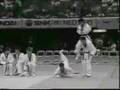 Korean Tigers View Video