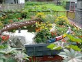 Pinky`s Pond 2