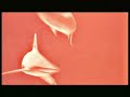 The Dining Rooms - Dreamy Smiles