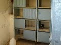 colombaia orabona caiazzo3