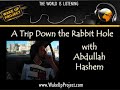 A Trip Down the Rabbit Hole Contd (5 of 6)