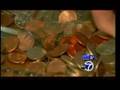 Penny Prank Our School Pulled! - YouTube