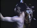 in 1989, dogzilla made a rock video for their mostly local hit 